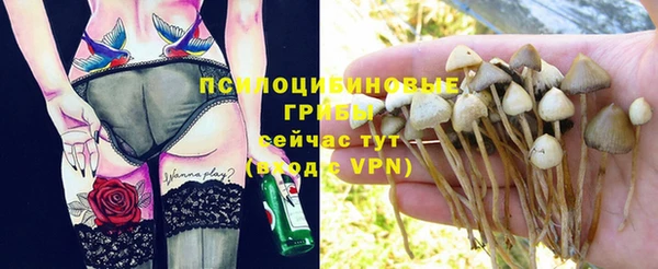 круглые Алексин