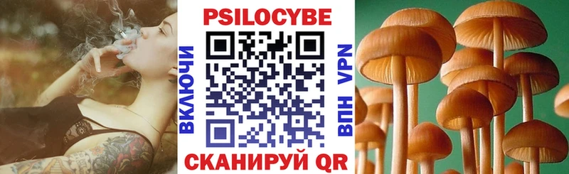 блэк спрут как войти Заинск Псилоцибиновые грибы Psilocybe