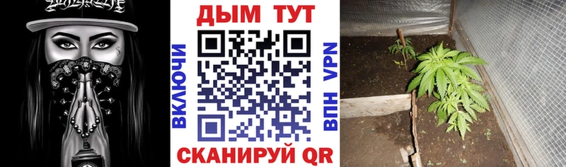 МАРИХУАНА гибрид Заинск