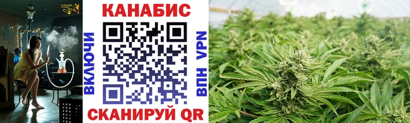 Бошки марихуана VHQ Заинск